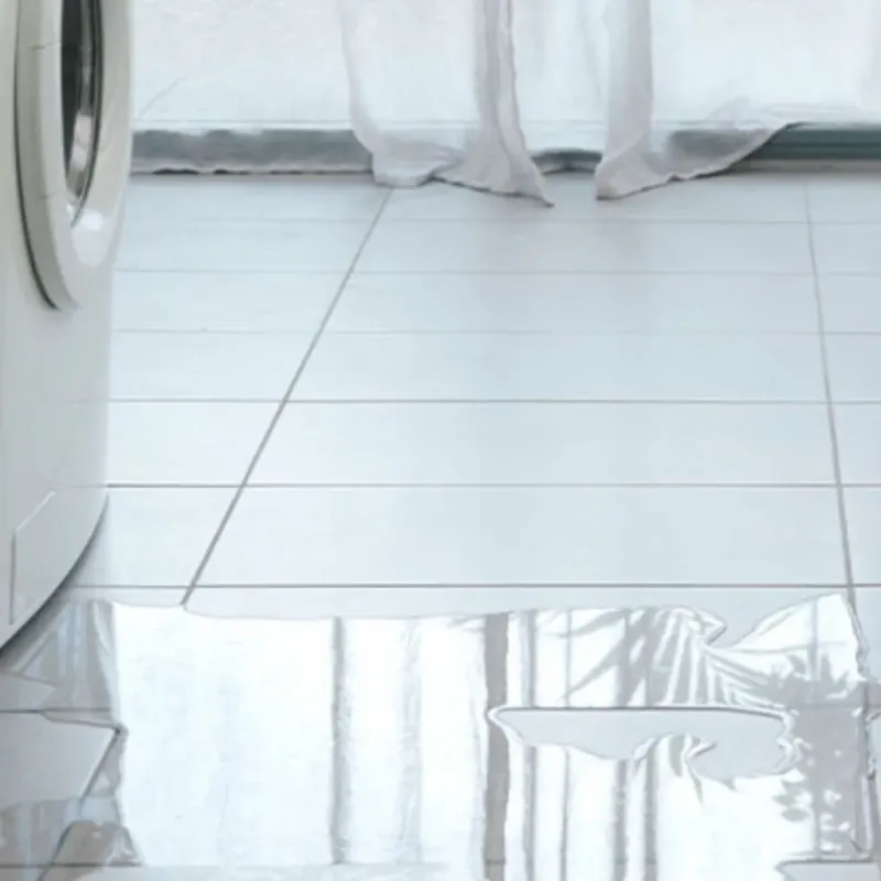 Appliance Leak Cleanup in Franklin County, GA