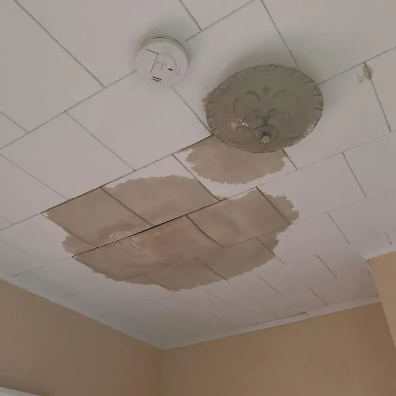 Ceiling Water Damage Repair in Franklin County, GA