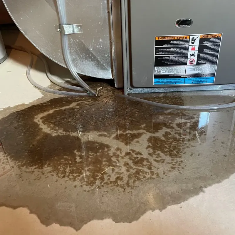 Pipe Burst and Leak Restoration in Franklin County, GA