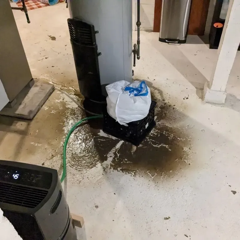 Sewage Backup Cleanup Service in Franklin County, GA